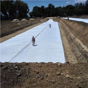 Tessuto non tessuto 100% PP Spunbond per copertura agricola